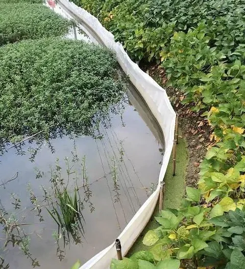 处理蟹苗体质偏弱抗应激和解毒能力差导致上岸一例