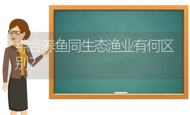综合养鱼同生态渔业有何区别？ | 动物养殖百科