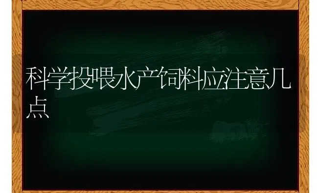 科学投喂水产饲料应注意几点 | 动物养殖饲料