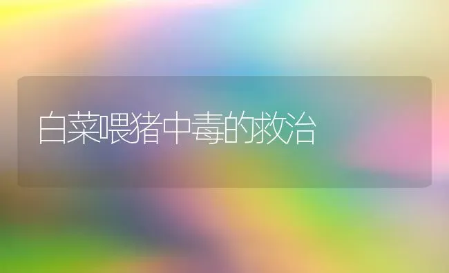 白菜喂猪中毒的救治 | 家畜养殖