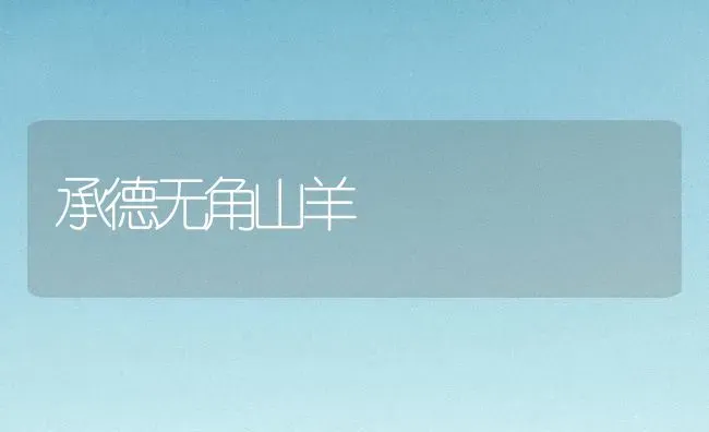 承德无角山羊 | 家畜养殖