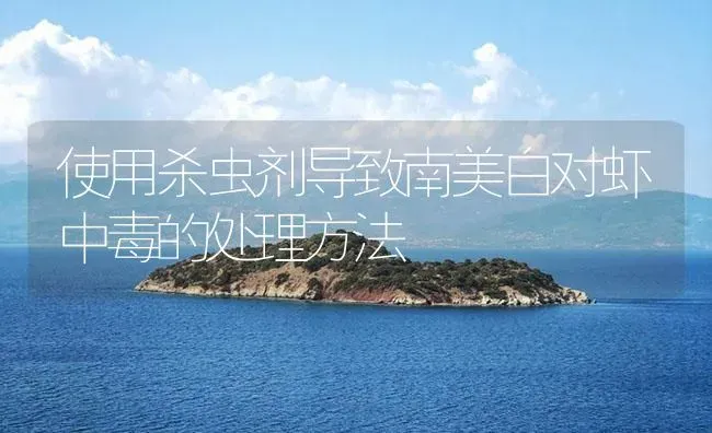 使用杀虫剂导致南美白对虾中毒的处理方法 | 海水养殖