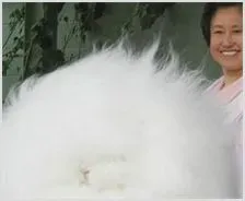 小小长毛兔脱贫大产业 | 养殖动物技术