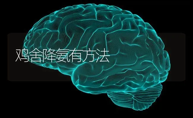 鸡舍降氨有方法 | 家禽养殖