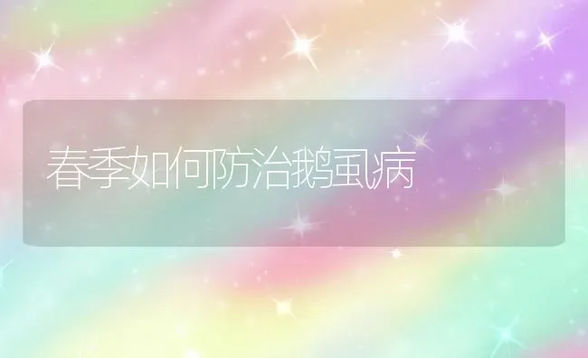 春季如何防治鹅虱病 | 家禽养殖