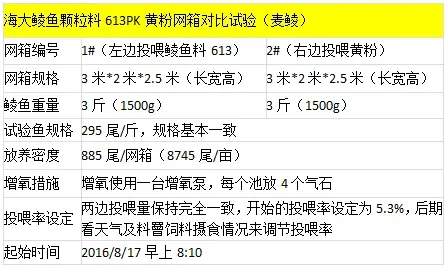 丹灶、白坭鲮鱼网箱饲料对比黄粉结果新鲜出炉了！投喂1包海大鱼仔料多赚100元