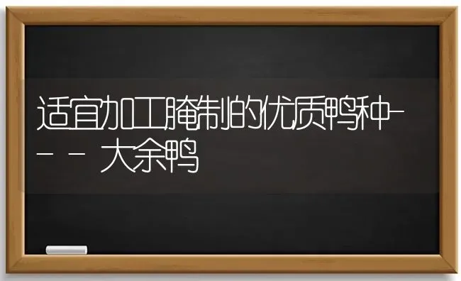 适宜加工腌制的优质鸭种---大余鸭 | 家禽养殖