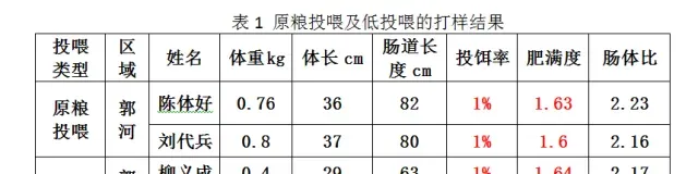 草鱼价格低迷养殖户必须合理投喂保证效益