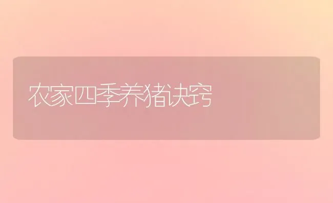 农家四季养猪诀窍 | 家畜养殖