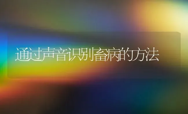 通过声音识别畜病的方法 | 家畜养殖