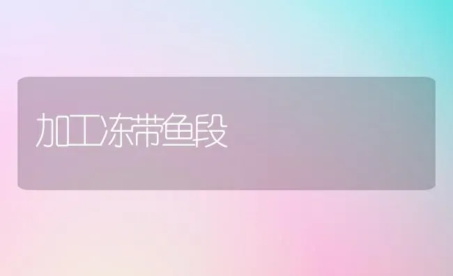 加工冻带鱼段 | 淡水养殖