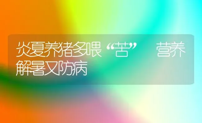 炎夏养猪多喂“苦” 营养解暑又防病 | 家畜养殖