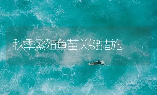 秋季繁殖鱼苗关键措施 | 淡水养殖