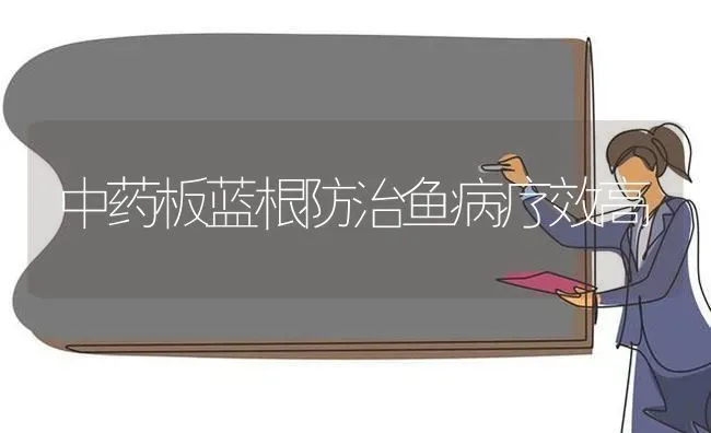 中药板蓝根防治鱼病疗效高 | 养殖病虫害防治
