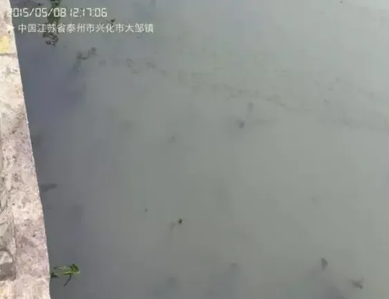 河蟹池塘水浑浅析