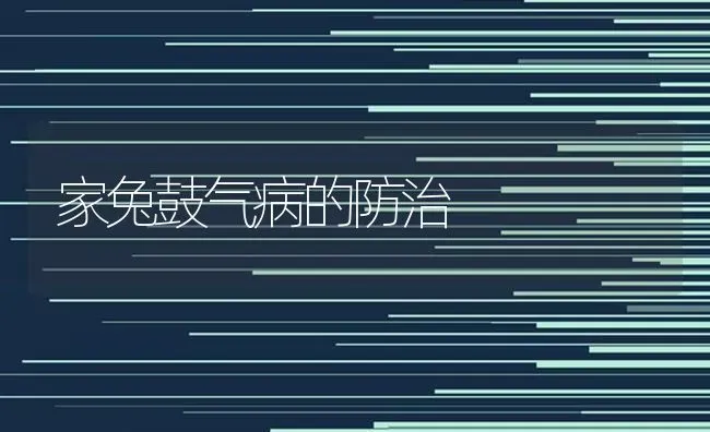 家兔鼓气病的防治 | 家畜养殖
