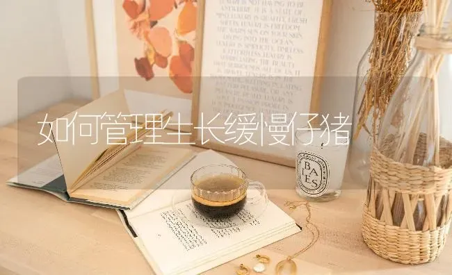 如何管理生长缓慢仔猪 | 家畜养殖