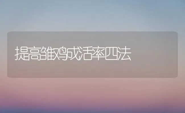 提高雏鸡成活率四法 | 家禽养殖