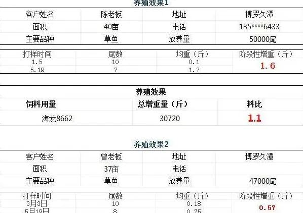 养殖户赚钱不赚钱，要算一算用什么饲料最划算