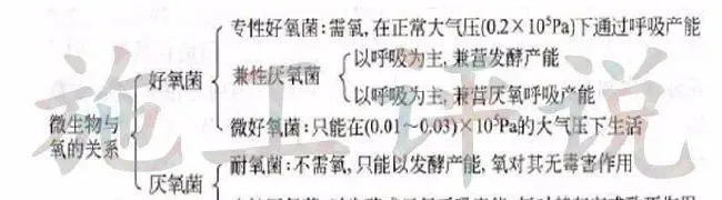 夏季高温季节池塘下风口为什么会看到一些小泡泡，有什么危害？