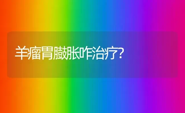 羊瘤胃臌胀咋治疗？ | 家畜养殖