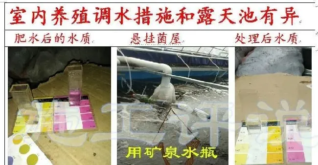 品种没变，环境已大变样！旧的养殖习惯，是否需要与时俱进？