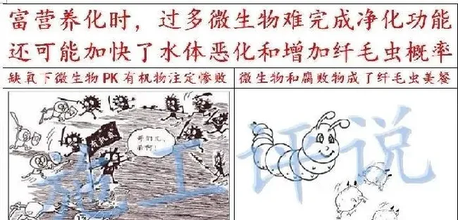 品种没变，环境已大变样！旧的养殖习惯，是否需要与时俱进？