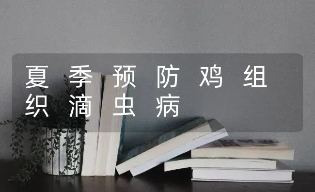 夏 季 预 防 鸡 组 织 滴 虫 病 | 家禽养殖