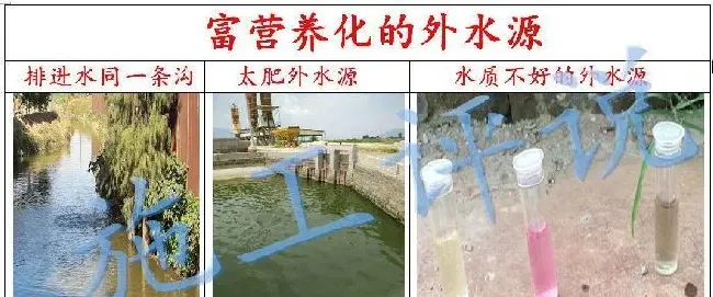 品种没变，环境已大变样！旧的养殖习惯，是否需要与时俱进？