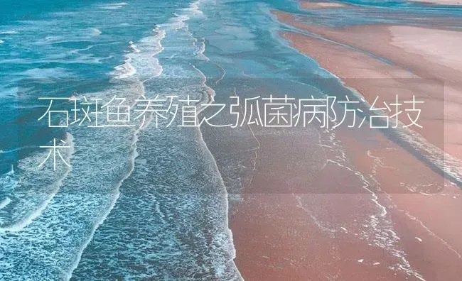 石斑鱼养殖之弧菌病防治技术 | 海水养殖