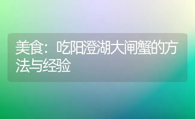 美食：吃阳澄湖大闸蟹的方法与经验 | 动物养殖百科