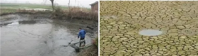 稳定对于水产养殖池塘的重要性