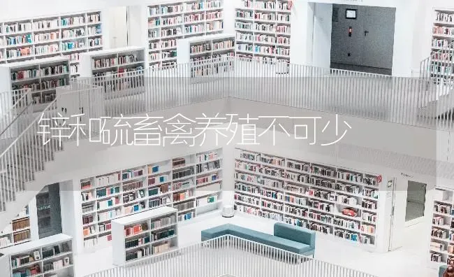 锌和硫畜禽养殖不可少 | 家禽养殖