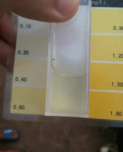 氨氮4.5的池塘里白鲢鱼中毒死亡，还有的救吗？