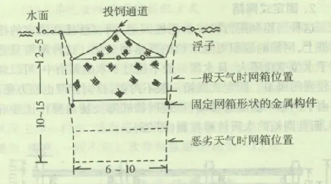 网箱养鱼之网箱设置方式