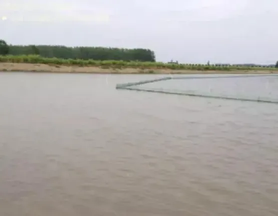 河蟹池塘水浑浅析