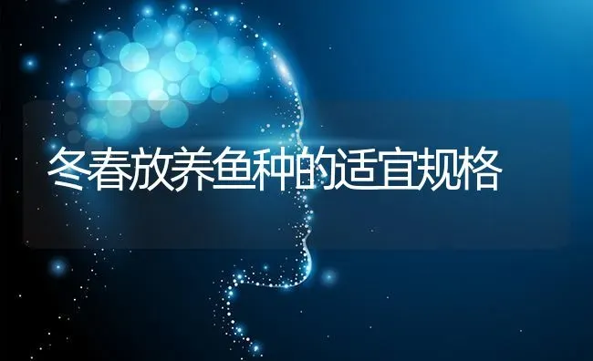 冬春放养鱼种的适宜规格 | 淡水养殖