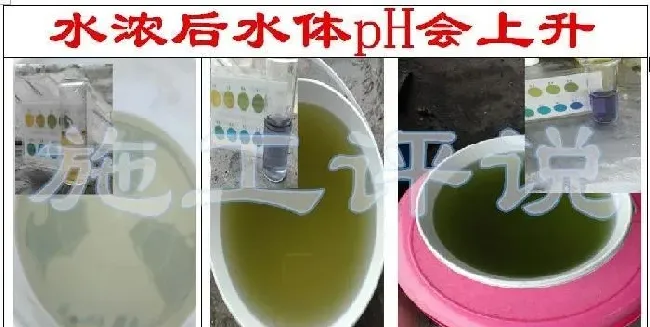 品种没变，环境已大变样！旧的养殖习惯，是否需要与时俱进？