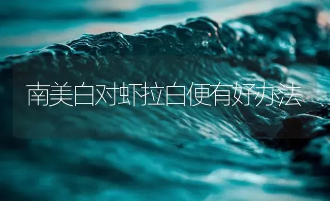 南美白对虾拉白便有好办法 | 海水养殖