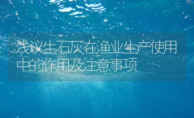 浅议生石灰在渔业生产使用中的作用及注意事项 | 动物养殖百科
