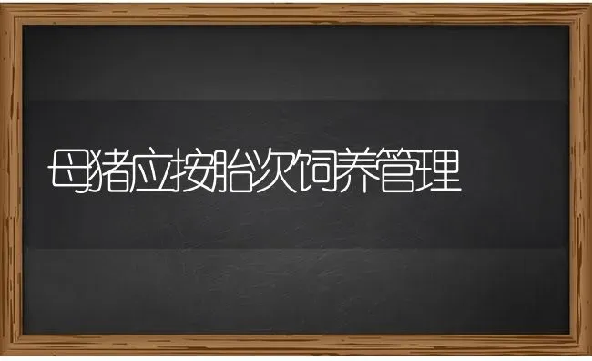 母猪应按胎次饲养管理 | 家畜养殖