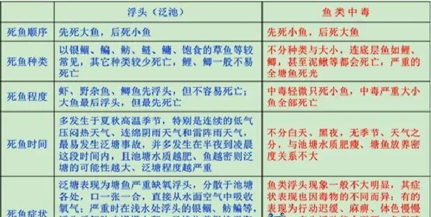 四川水产营销中心服务部经理王伟：鱼类缺氧中毒怎么解救？