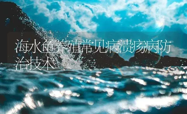 海水鱼养殖常见病溃疡病防治技术 | 养殖病虫害防治