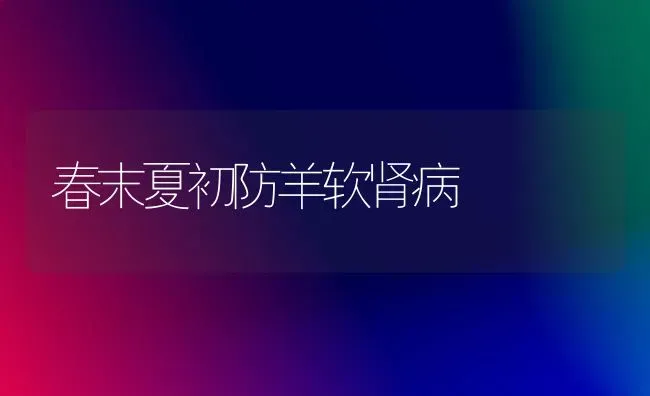 春末夏初防羊软肾病 | 家畜养殖