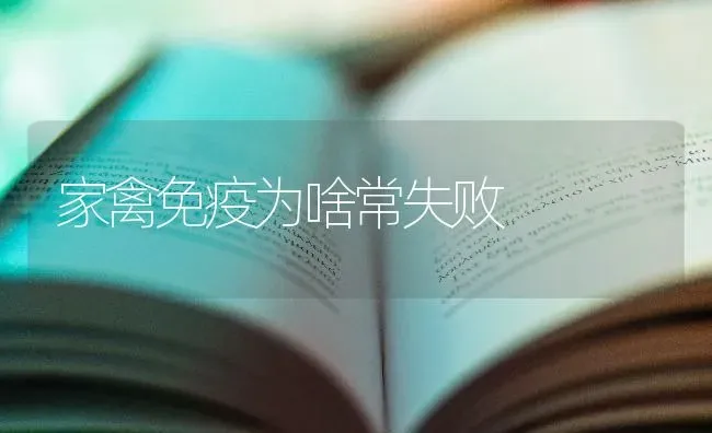 家禽免疫为啥常失败 | 家禽养殖