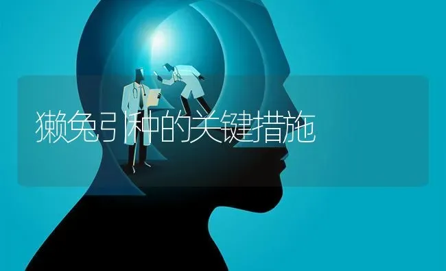 獭兔引种的关键措施 | 家畜养殖