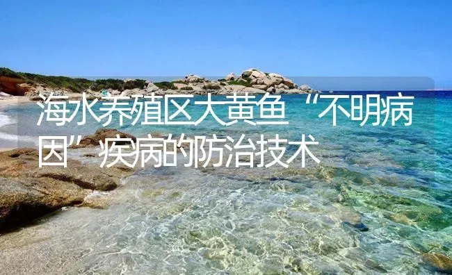 海水养殖区大黄鱼“不明病因”疾病的防治技术 | 海水养殖
