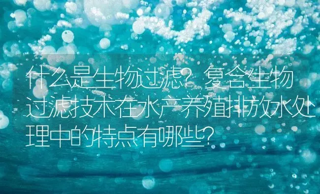 什么是生物过滤？复合生物过滤技术在水产养殖排放水处理中的特点有哪些？ | 动物养殖百科