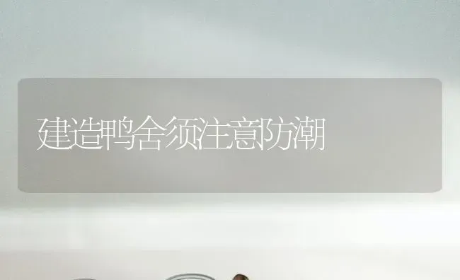 建造鸭舍须注意防潮 | 家禽养殖