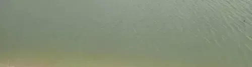 海参池塘白浊水质的调节
